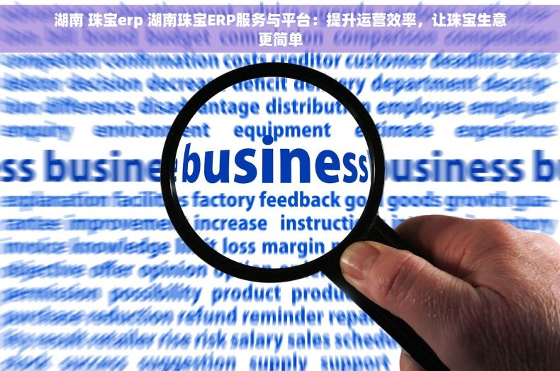 湖南 珠宝erp 湖南珠宝ERP服务与平台：提升运营效率，让珠宝生意更简单