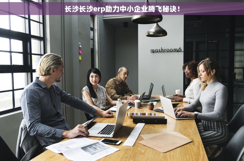 长沙长沙erp助力中小企业腾飞秘诀！