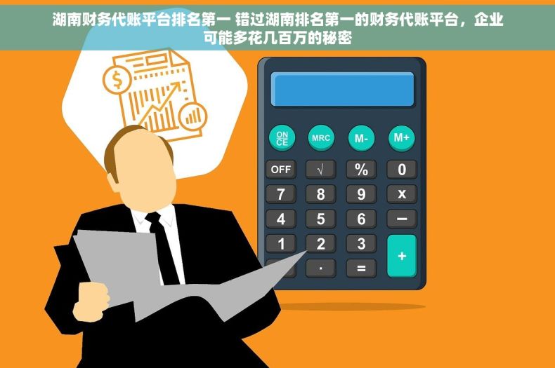 湖南财务代账平台排名第一 错过湖南排名第一的财务代账平台，企业可能多花几百万的秘密