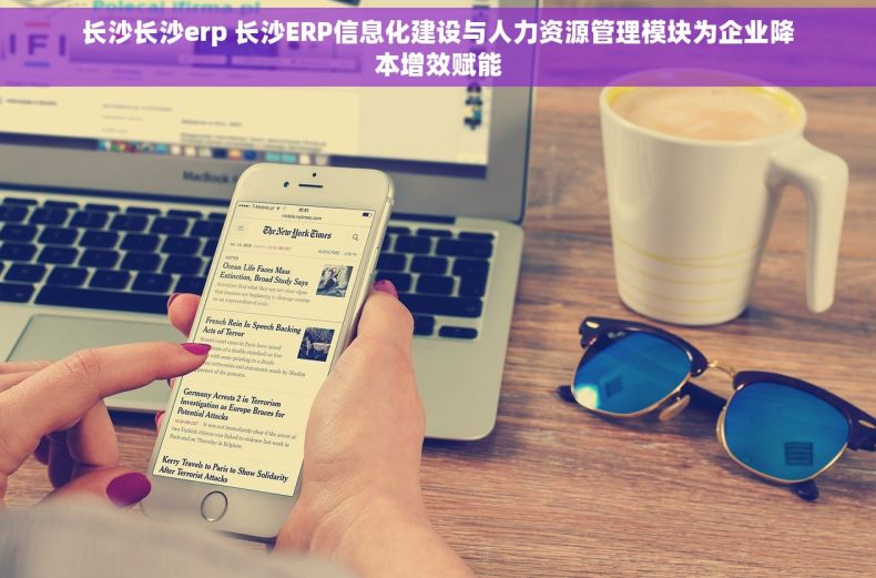 长沙长沙erp 长沙ERP信息化建设与人力资源管理模块为企业降本增效赋能