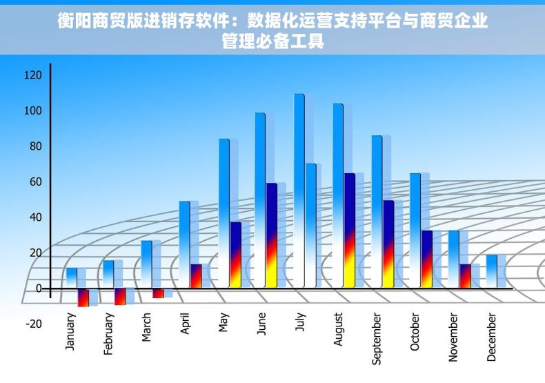 衡阳商贸版进销存软件：数据化运营支持平台与商贸企业管理必备工具
