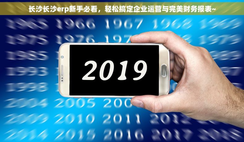 长沙长沙erp新手必看，轻松搞定企业运营与完美财务报表~