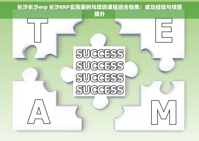 长沙长沙erp 长沙ERP实施案例与培训课程综合指南：成功经验与技能提升