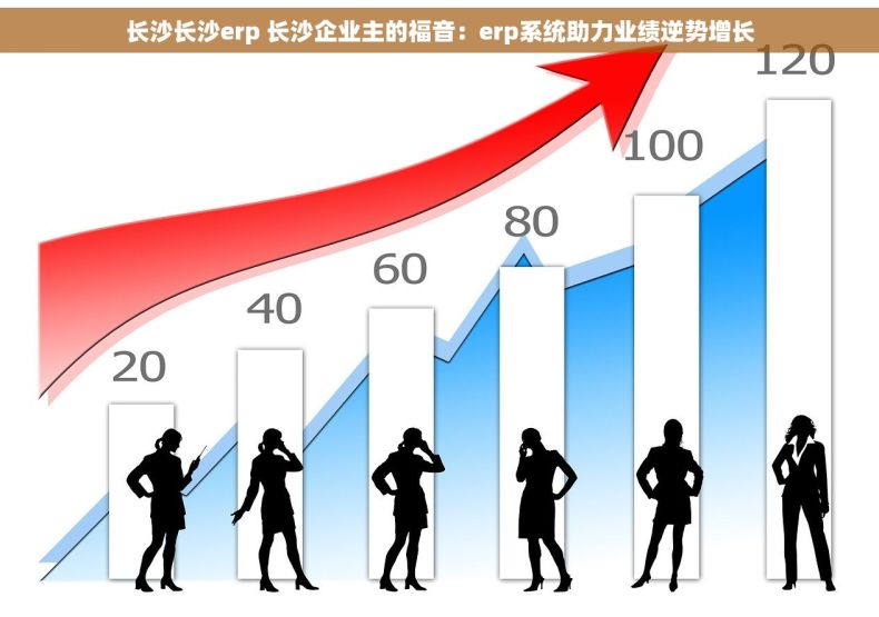长沙长沙erp 长沙企业主的福音：erp系统助力业绩逆势增长