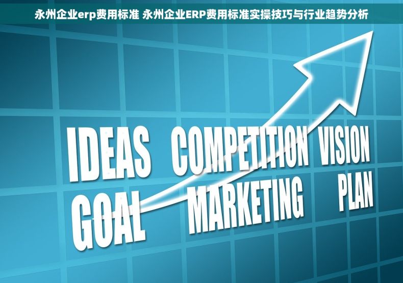 永州企业erp费用标准 永州企业ERP费用标准实操技巧与行业趋势分析