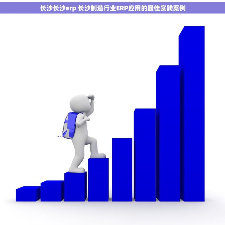 长沙长沙erp 长沙制造行业ERP应用的最佳实践案例