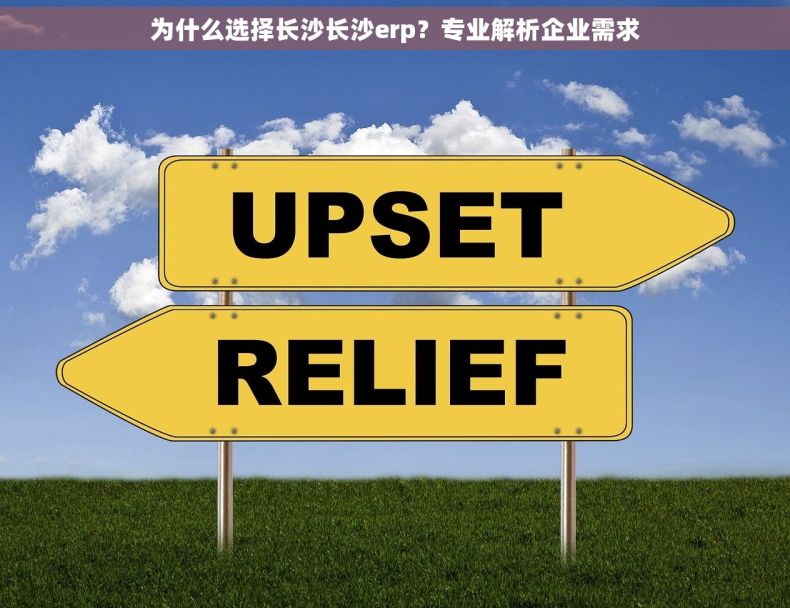 为什么选择长沙长沙erp？专业解析企业需求