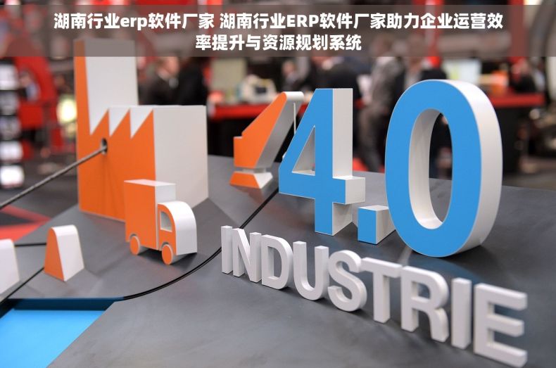 湖南行业erp软件厂家 湖南行业ERP软件厂家助力企业运营效率提升与资源规划系统