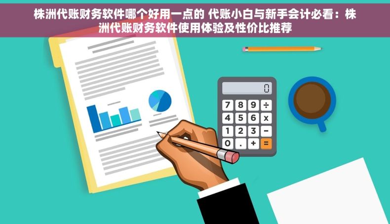 株洲代账财务软件哪个好用一点的 代账小白与新手会计必看：株洲代账财务软件使用体验及性价比推荐