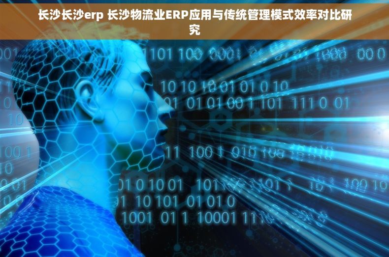 长沙长沙erp 长沙物流业ERP应用与传统管理模式效率对比研究