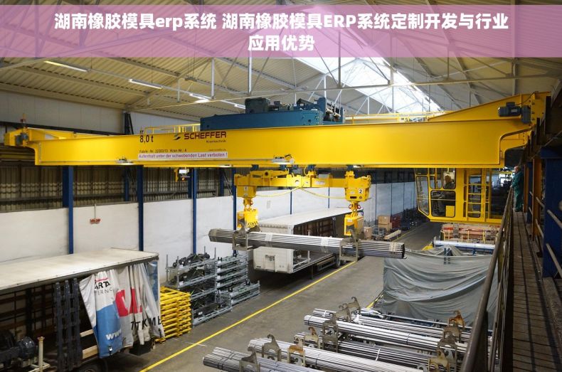 湖南橡胶模具erp系统 湖南橡胶模具ERP系统定制开发与行业应用优势
