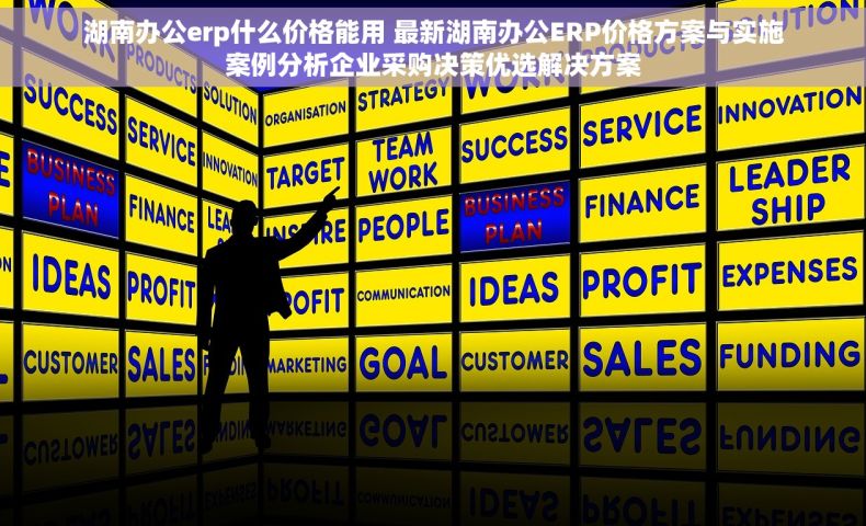 湖南办公erp什么价格能用 最新湖南办公ERP价格方案与实施案例分析企业采购决策优选解决方案