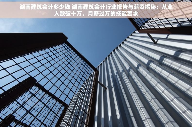 湖南建筑会计多少钱 湖南建筑会计行业报告与薪资揭秘：从业人数破十万，月薪过万的技能要求