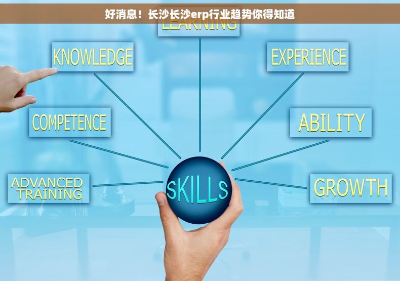 好消息！长沙长沙erp行业趋势你得知道