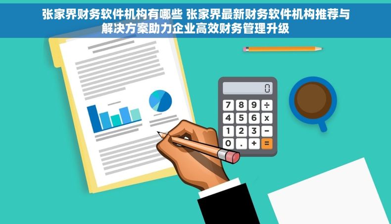 张家界财务软件机构有哪些 张家界最新财务软件机构推荐与解决方案助力企业高效财务管理升级