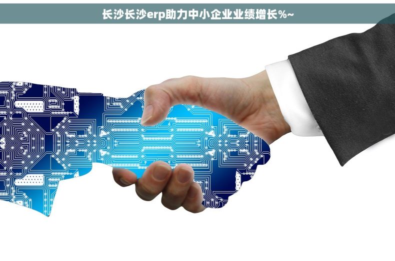 长沙长沙erp助力中小企业业绩增长%~