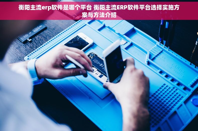 衡阳主流erp软件是哪个平台 衡阳主流ERP软件平台选择实施方案与方法介绍