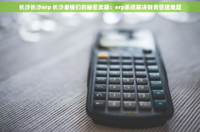 长沙长沙erp 长沙老板们的秘密武器：erp系统解决财务管理难题