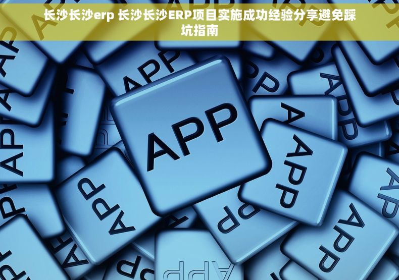 长沙长沙erp 长沙长沙ERP项目实施成功经验分享避免踩坑指南