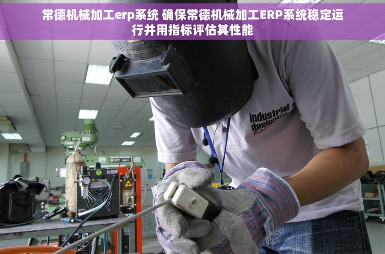 常德机械加工erp系统 确保常德机械加工ERP系统稳定运行并用指标评估其性能