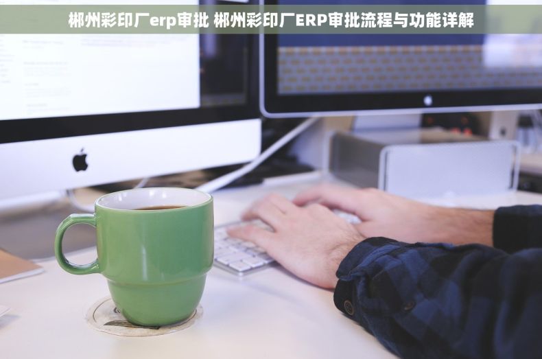 郴州彩印厂erp审批 郴州彩印厂ERP审批流程与功能详解