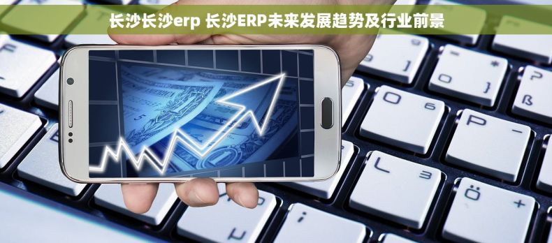 长沙长沙erp 长沙ERP未来发展趋势及行业前景