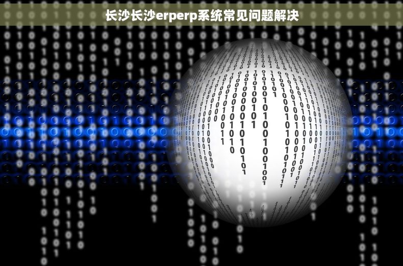 长沙长沙erperp系统常见问题解决