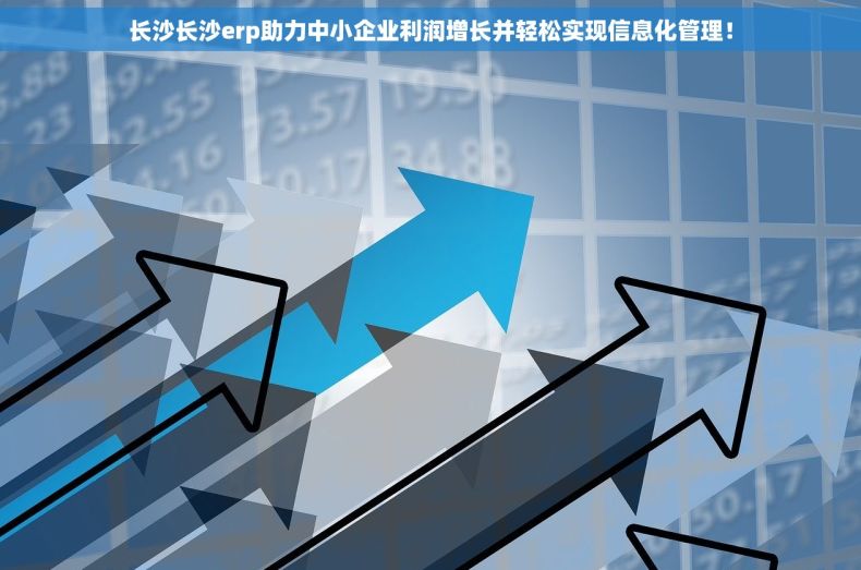 长沙长沙erp助力中小企业利润增长并轻松实现信息化管理！