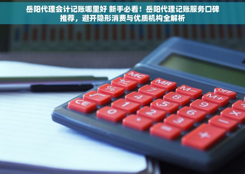 岳阳代理会计记账哪里好 新手必看！岳阳代理记账服务口碑推荐，避开隐形消费与优质机构全解析
