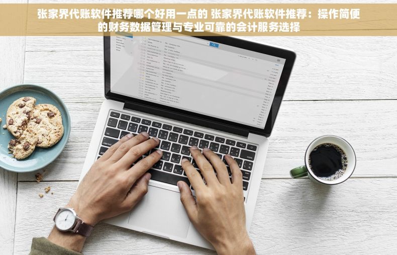 张家界代账软件推荐哪个好用一点的 张家界代账软件推荐：操作简便的财务数据管理与专业可靠的会计服务选择