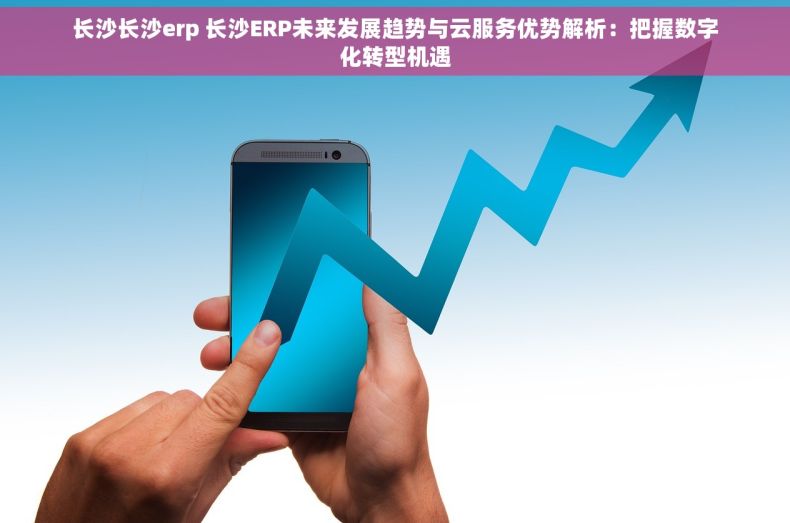 长沙长沙erp 长沙ERP未来发展趋势与云服务优势解析：把握数字化转型机遇
