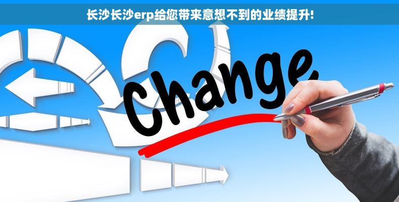 长沙长沙erp给您带来意想不到的业绩提升!