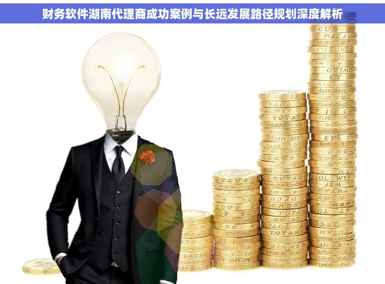 财务软件湖南代理商成功案例与长远发展路径规划深度解析
