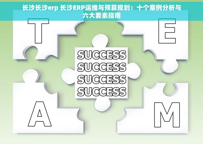 长沙长沙erp 长沙ERP运维与预算规划：十个案例分析与六大要素指南
