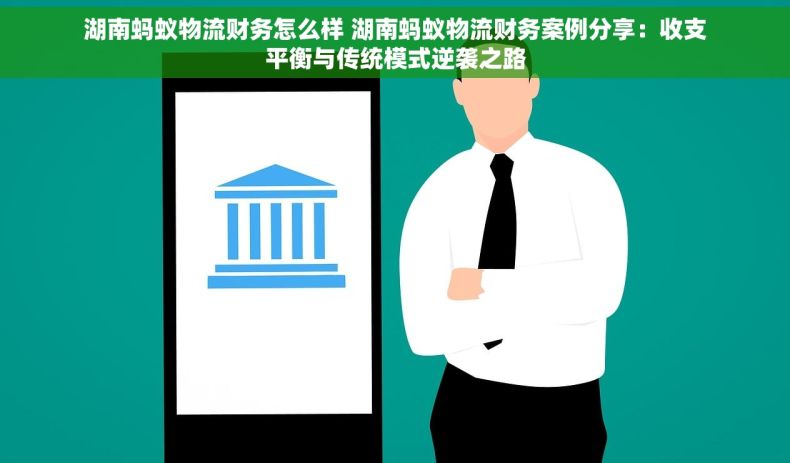 湖南蚂蚁物流财务怎么样 湖南蚂蚁物流财务案例分享：收支平衡与传统模式逆袭之路