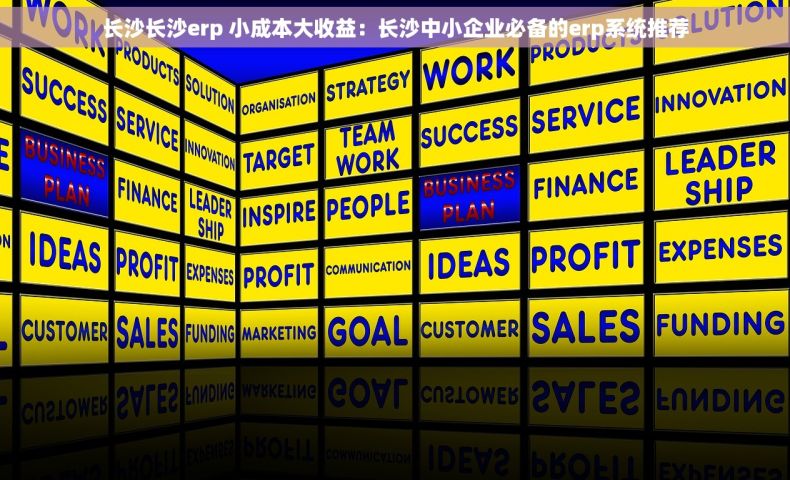 长沙长沙erp 小成本大收益：长沙中小企业必备的erp系统推荐