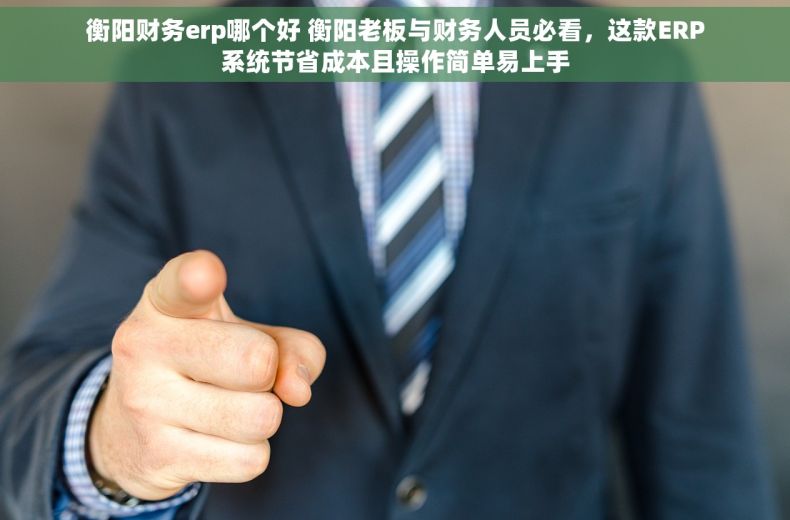 衡阳财务erp哪个好 衡阳老板与财务人员必看，这款ERP系统节省成本且操作简单易上手