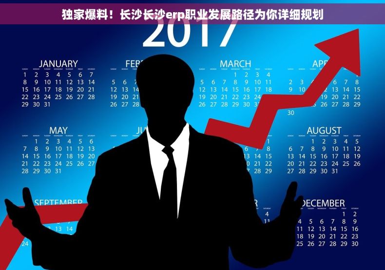 独家爆料！长沙长沙erp职业发展路径为你详细规划