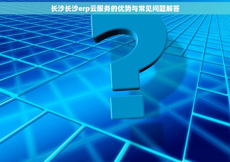 长沙长沙erp云服务的优势与常见问题解答