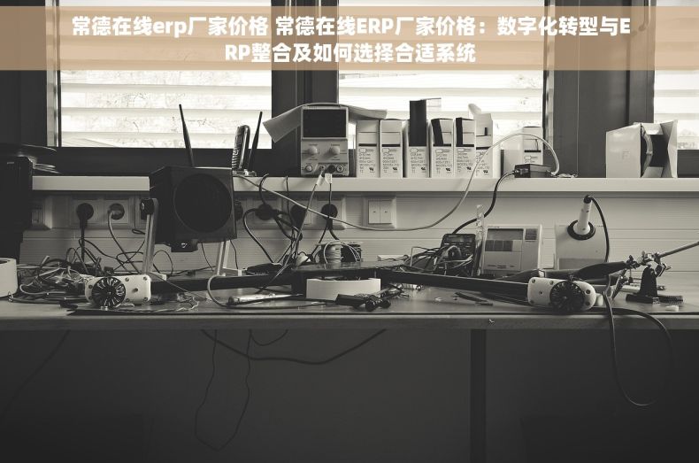 常德在线erp厂家价格 常德在线ERP厂家价格：数字化转型与ERP整合及如何选择合适系统
