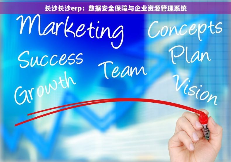 长沙长沙erp：数据安全保障与企业资源管理系统