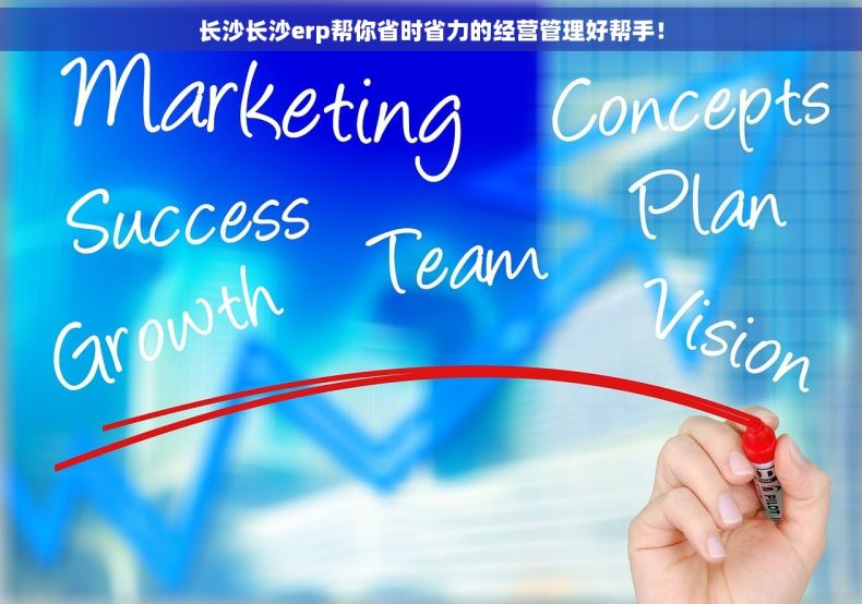 长沙长沙erp帮你省时省力的经营管理好帮手！