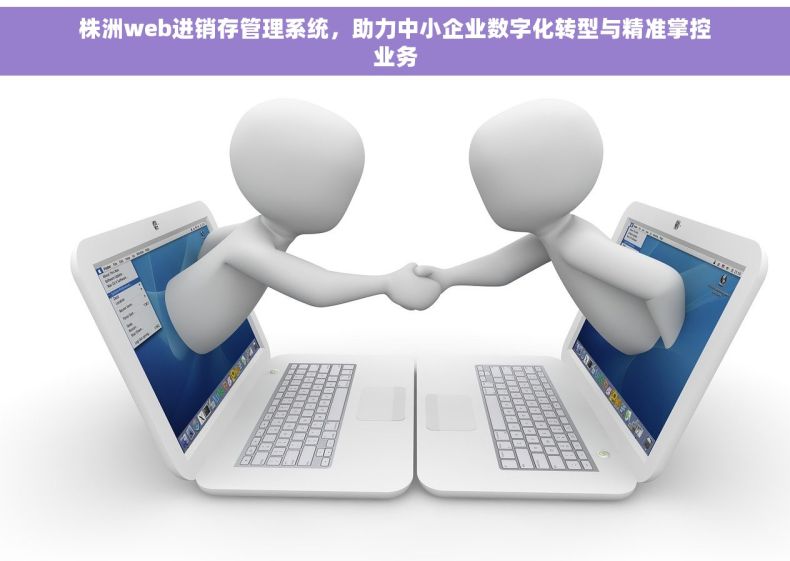 株洲web进销存管理系统，助力中小企业数字化转型与精准掌控业务