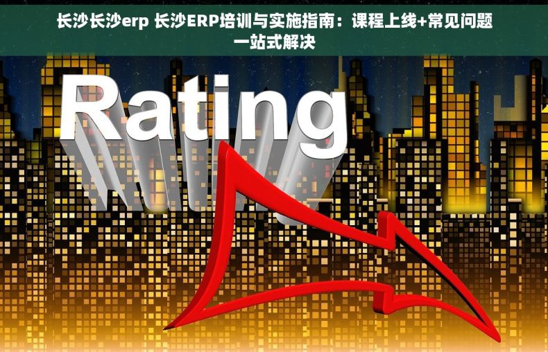 长沙长沙erp 长沙ERP培训与实施指南：课程上线+常见问题一站式解决