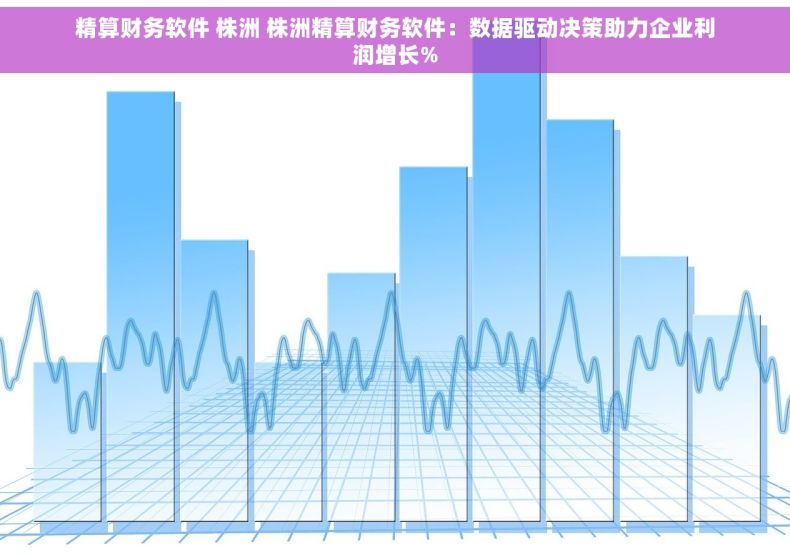 精算财务软件 株洲 株洲精算财务软件：数据驱动决策助力企业利润增长%