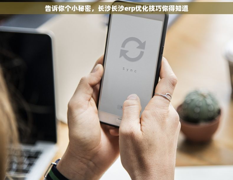 告诉你个小秘密，长沙长沙erp优化技巧你得知道
