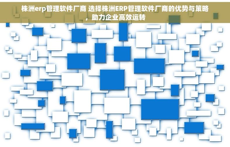 株洲erp管理软件厂商 选择株洲ERP管理软件厂商的优势与策略，助力企业高效运转