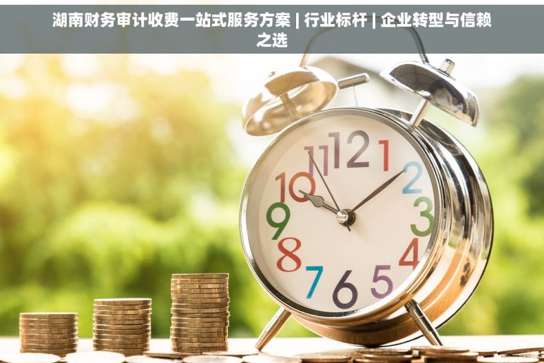 湖南财务审计收费一站式服务方案 | 行业标杆 | 企业转型与信赖之选