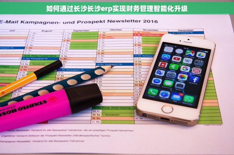 如何通过长沙长沙erp实现财务管理智能化升级