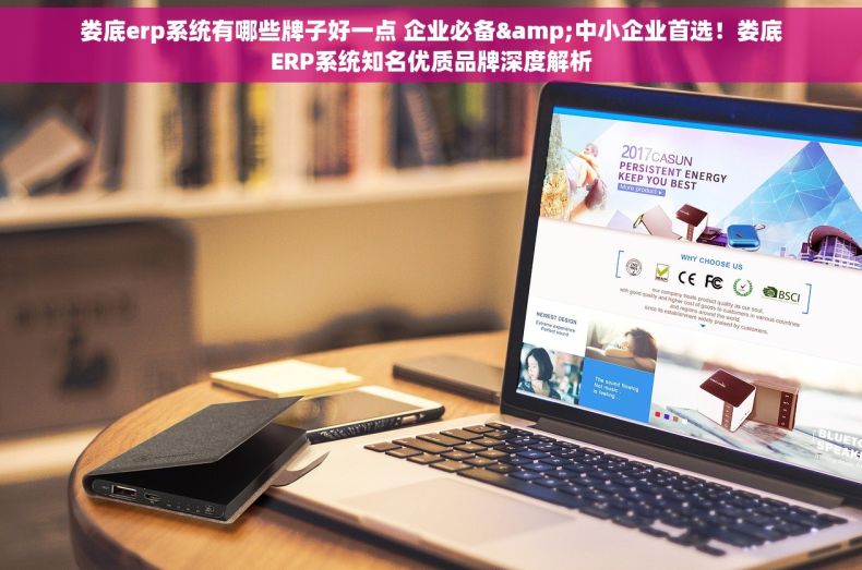 娄底erp系统有哪些牌子好一点 企业必备&中小企业首选！娄底ERP系统知名优质品牌深度解析